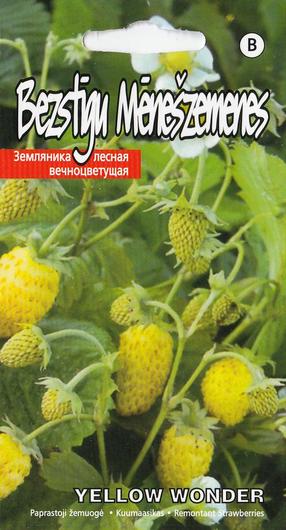 Sēklas Kurzemes sēklas, zemenes Yellow Wonder, 0.1 g