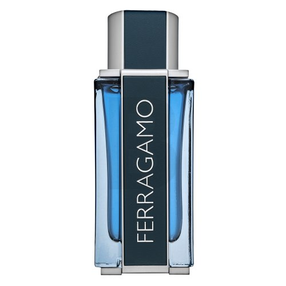 Parfüümvesi Salvatore Ferragamo Intense Leather, 100 ml