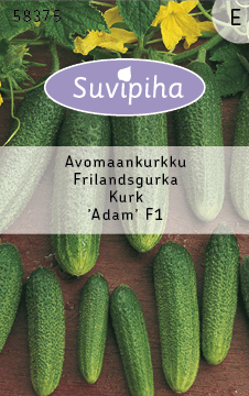 Seemned, kurgid ADAM, 15 tk