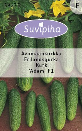 Seemned, kurgid ADAM, 15 tk