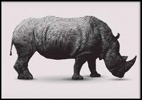 Paveikslas DecoKing Rhinoceros, 40 cm x 50 cm