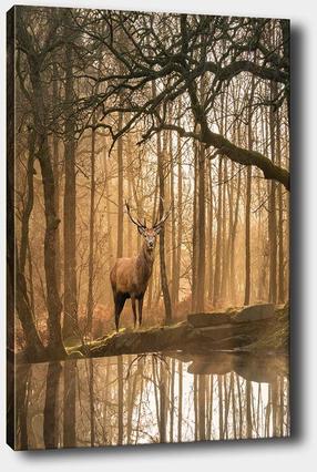 Reproduktsioon Wallity, 529tcr1697, 70 cm x 50 cm
