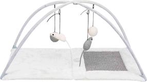 Kačių draskyklė Trixie Junior, 33 cm x 60 cm x 42 cm
