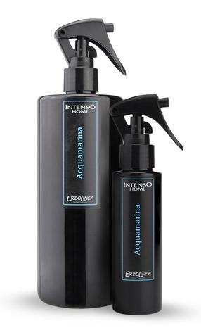 Gaisa atsvaidzinātājs Erbolinea Aquamarina, 0.1 l