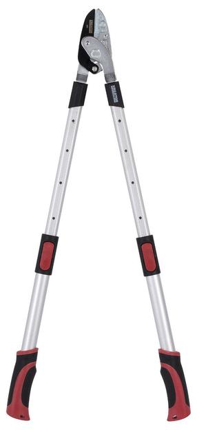 Šakų sekatorius sausoms šakoms Kreator Lopping Shear KRTGR4014, 81 cm