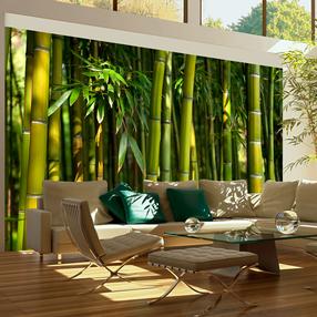 Fototapeet Artgeist Asian Bamboo Forest, 270 cm x 270 cm