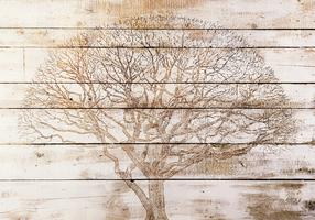 Fototapeet Artgeist Tree On Boards 2XLFT1930, 210 cm x 210 cm