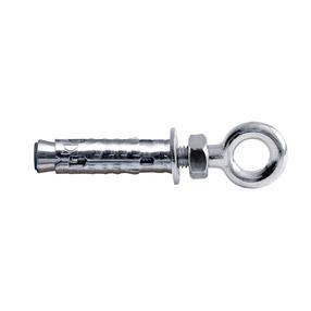 Inkarinis varžtas su kilpa Haushalt TNTRC06, 10x45 mm, 2 vnt.