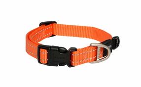 Antkaklis šunims Rogz Utility Classic, oranžinė sp., 260 - 400 mm x 16 mm, 26-40