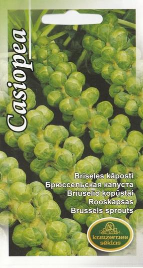Sēklas Kurzemes sēklas, kāposti Casiopea, 2 g