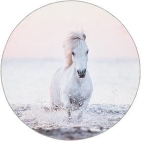 Paklājs iekštelpu 4Living Pony Dream 649321, daudzkrāsaina, 133 cm x 133 cm