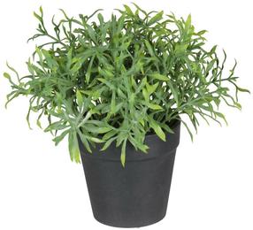 Dirbtinis augalas vazone, vaistažolės Splendid Herbs 1, žalia sp., 20 cm x 15 cm