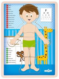 Dėlionė WOODY Educational Puzzle Boy Human Body, 0.8 cm, įvairių spalvų, 12 vnt.