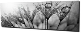 Reproduktsioon Wallity PC047, 80 cm x 30 cm