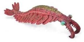 Mängukujuke Collecta Prehistoric World Anomalocaris 88977, 13 cm, roosa v.
