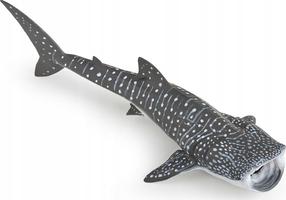 Фигурка-игрушка Papo Whale Shark 427471, многоцветный
