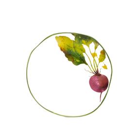 Lėkštė desertinė Homla Skord Beetroot, 20 cm x 20 cm, balta sp./žalia sp./rožinė sp.