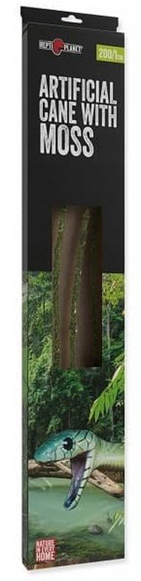 Dekoracija terariumui Repti Planet Artificial Cane Moss, 2000 mm x 10 mm