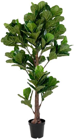 Dirbtinis augalas House Nordic Fiddle Leaf Tree, žalia sp., 190 cm