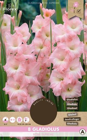 Svogūninės gėlės kardelis ROSE SUPREME, 12 - 14 mm, 8 vnt.
