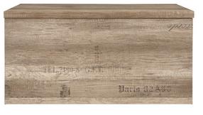 Batų skrynia Malcolm, ruda/pilka, 93 cm x 49 cm x 45.5 cm