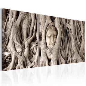 Reprodukcija Artgeist Meditation's Tree N5697-DKXPWD, 120 cm x 60 cm