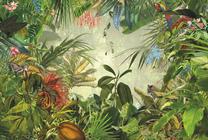 Fototapetas Komar INTO WILD, 368 cm x 248 cm