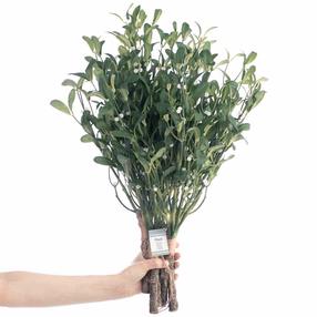 Mākslīgais augs, āmuļi AmeliaHome Planti, zaļa krās., 56 cm