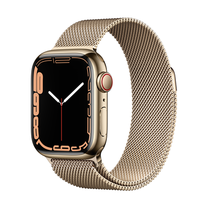 Išmanusis laikrodis Apple Watch Series 7 GPS + Cellular, 41mm Gold Stainless Steel Case with Gold Milanese Loop, aukso sp.