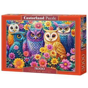 Puzle Castorland Flower Owl Meeting, 68 cm x 92 cm, 3000 gab., daudzkrāsaina
