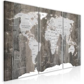 Reprodukcija Artgeist World Map: Wooden World, k-c-0050-b-g, 120 cm x 60 cm