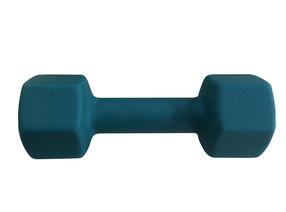 Hantele Outliner, 4 kg
