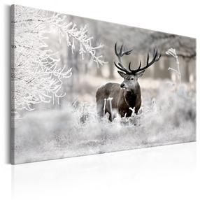 Reprodukcija Artgeist Lonely Deer N7056-DKXPWD, 90 cm x 60 cm