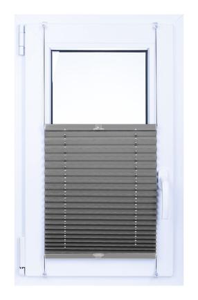 Ribakardin Domoletti, hall v., 1500 mm x 730 mm