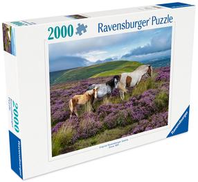 Dėlionė Ravensburger Wild Horses In The Heathe, 75 cm x 98 cm, 2000 vnt., įvairių spalvų