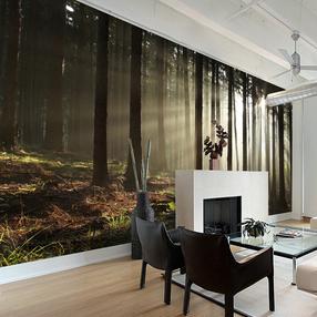 Fototapeet Artgeist Coniferous Forest F4TNT0492-P, 270 cm x 450 cm