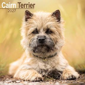 Kalendārs Flamingo 27 Cairn Terriers, daudzkrāsaina, 29.5 cm x 29.5 cm