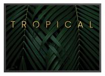 Paveikslas DecoKing Tropical Dream, 70 cm x 50 cm
