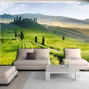 Fototapetas Artgeist Morning in the countryside 3XLNEW010149, 245 cm x 350 cm