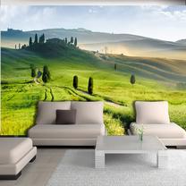 Fototapetas Artgeist Morning in the countryside 3XLNEW010149, 245 cm x 350 cm