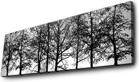 Sienos dekoracija Wallity, 3090dact-72, 90 cm x 30 cm