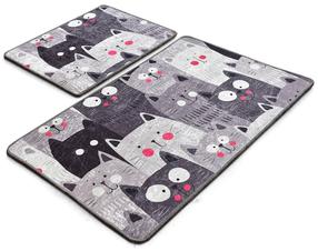Vonios kilimėlių rinkinys Foutastic Meow 359CHL2376, įvairių spalvų, 100 cm x 60 cm