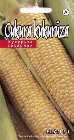 Sēklas Kurzemes sēklas, kukurūza Elan F1, 1 g