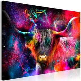 Reprodukcija Artgeist Colorful Bull DKNW0873PWD, 60 cm x 40 cm