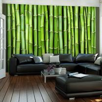 Fototapetas Artgeist Bamboo Wall FTNT0928SAM, 270 cm x 270 cm