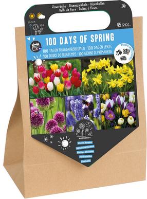 Svogūninės gėlės gėlių mišinys 100 DAYS OF SPRING, 45 vnt.