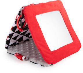 Книжка Canpol Babies Sensory