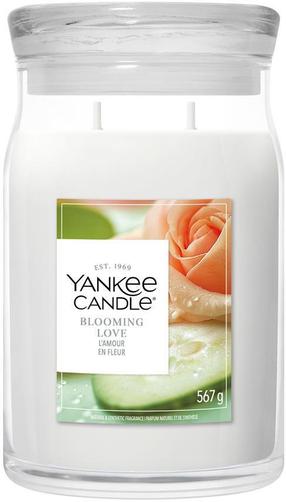 Свеча, ароматическая Yankee Candle Signature blooming love, 80 час, 567 г, белый цв.