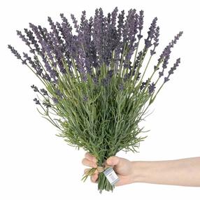 Mākslīgais augs, lavanda AmeliaHome Lavi, zaļa krās./violeta krās., 40 cm