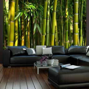 Fototapeet Artgeist Asian Bamboo Forest 4XLFTNT0090, 309 cm x 309 cm